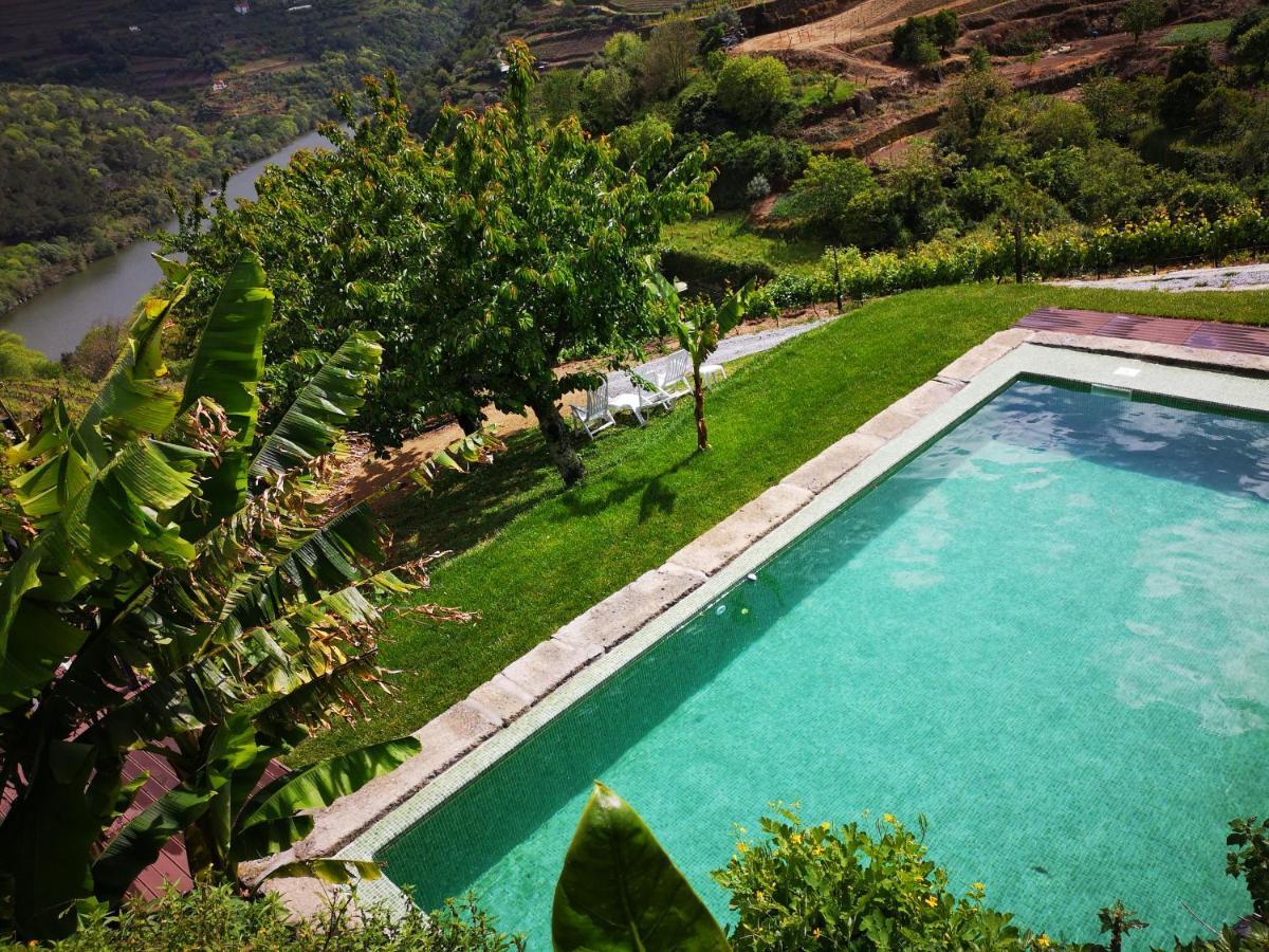 Quinta Barqueiros D'Ouro - Casa Da Musica Villa Mesão Frio Kültér fotó