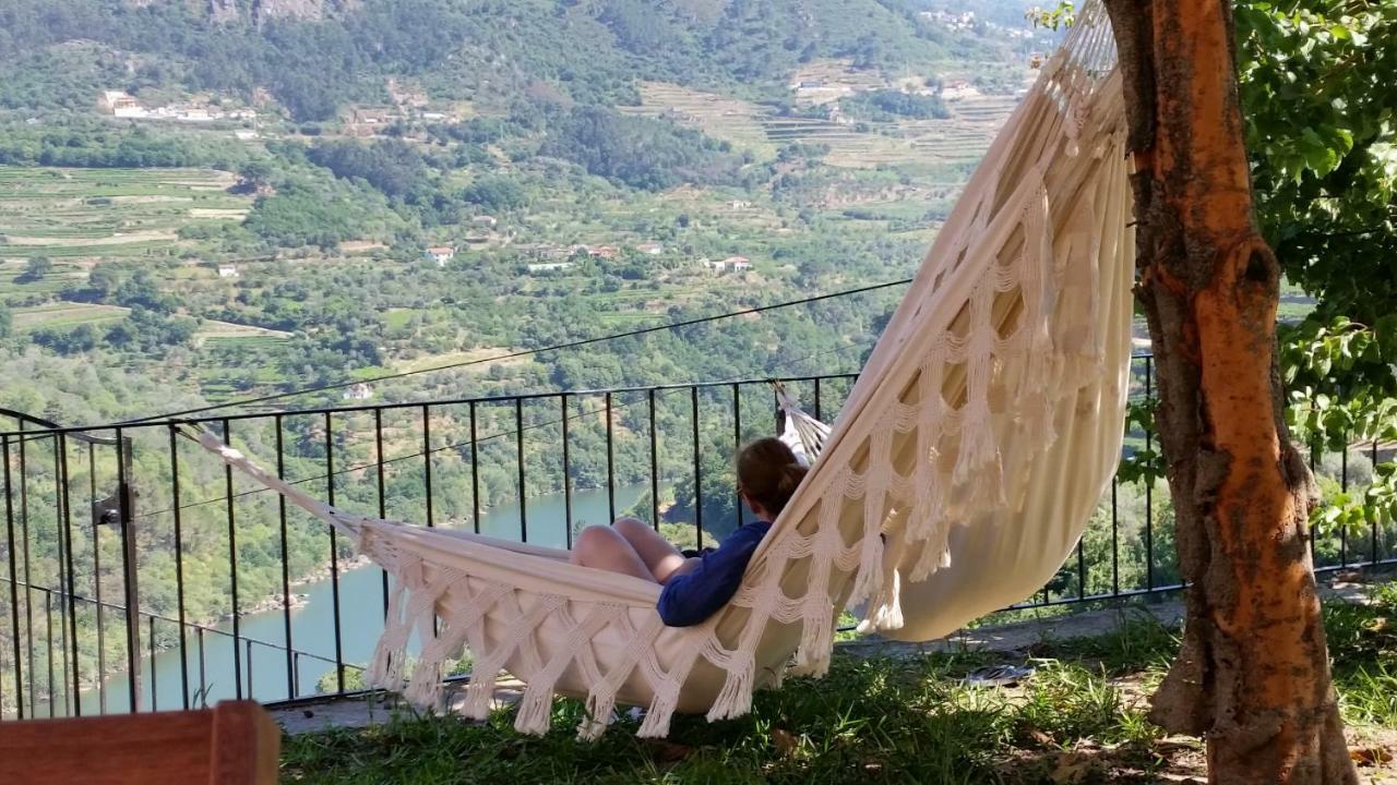Quinta Barqueiros D'Ouro - Casa Da Musica Villa Mesão Frio Kültér fotó